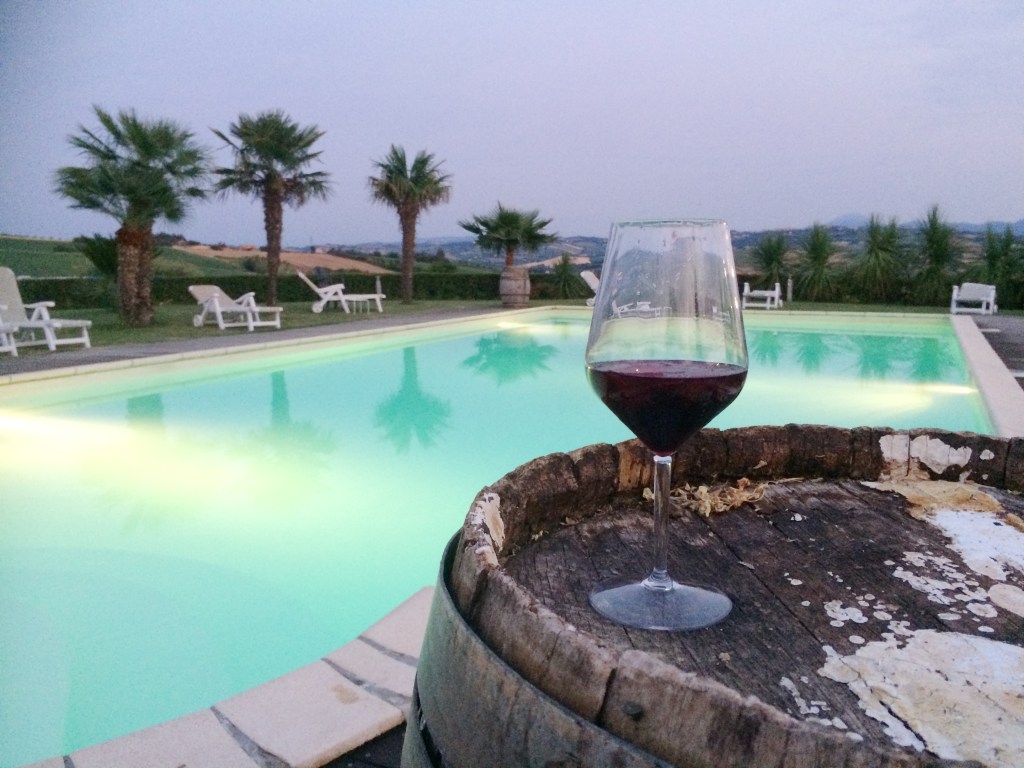 Glass of Local Rosso Conero wine resting on a wooden barrel beside a pool, overlooking palm trees and roling hils in Le Marche, Italy.